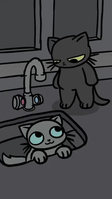 Кот мучает кота водой