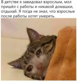 Взрослые хотят умереть после работы