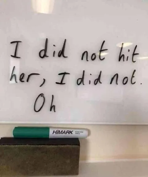 I Did Not Hit Her