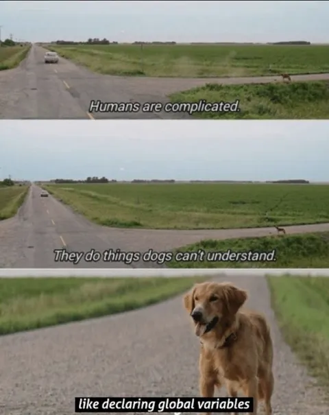 Dogs Don't Understand Global Variables