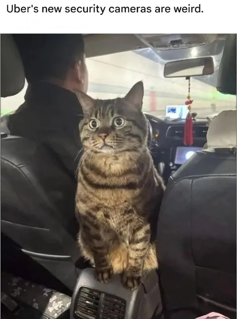 Uber's New Security Cameras