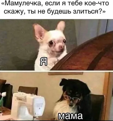Мамочка, я кое-что скажу