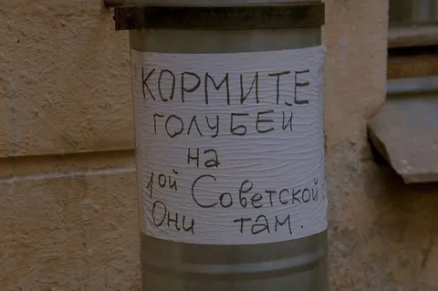 Кормите голубей на Советской