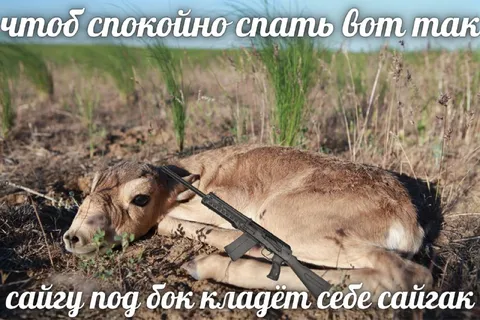 Сайга под бок для сна