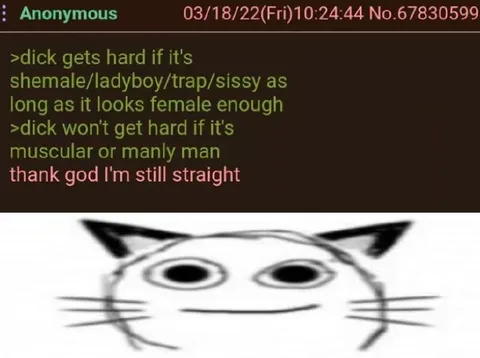 Still Straight Cat Reaction