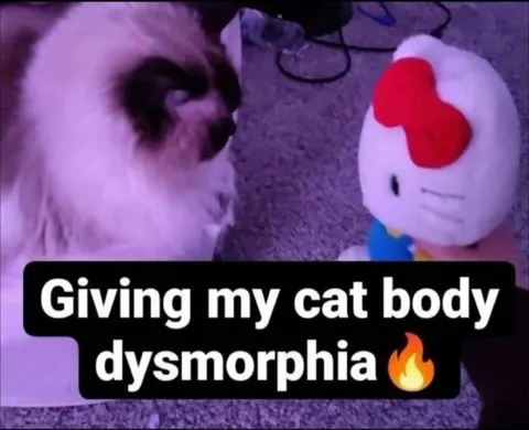 Giving My Cat Body Dysmorphia