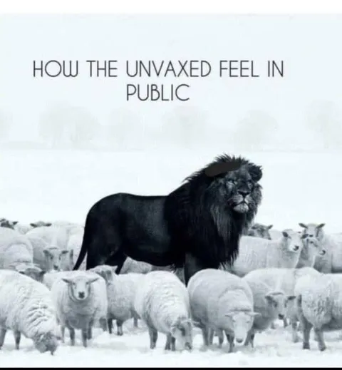 Unvaxxed Lion Among Sheep