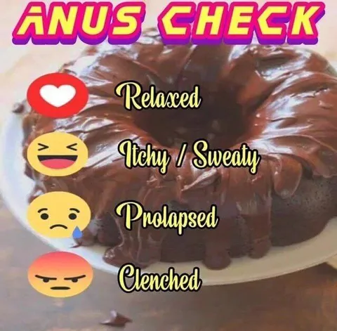 Anus Check Status Chart