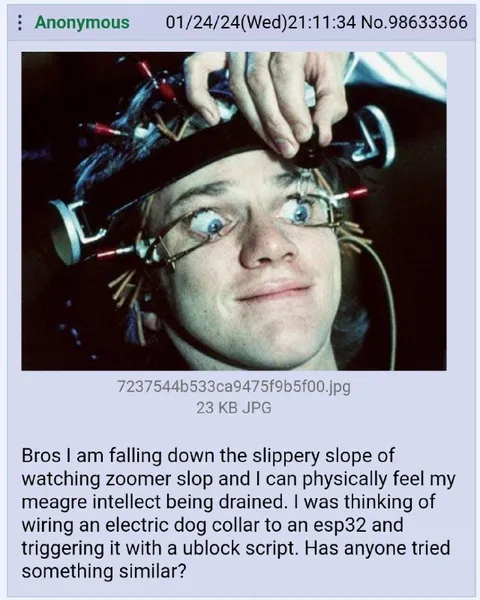 Slippery Slope of Zoomer Slop