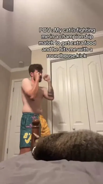 Cat Hits Owner With Roundhouse Kick