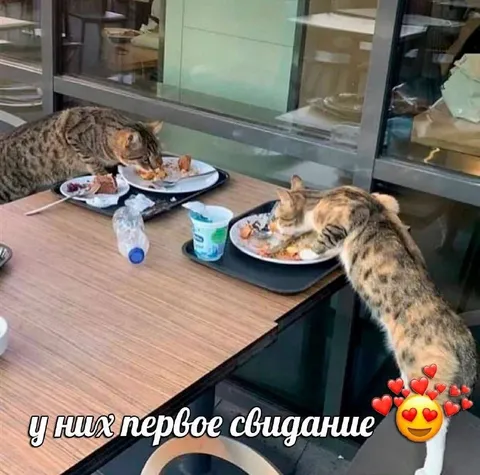 У них первое свидание