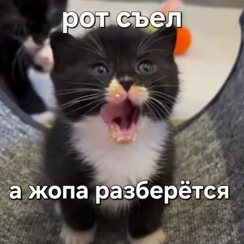 Рот съел, а жопа разберётся