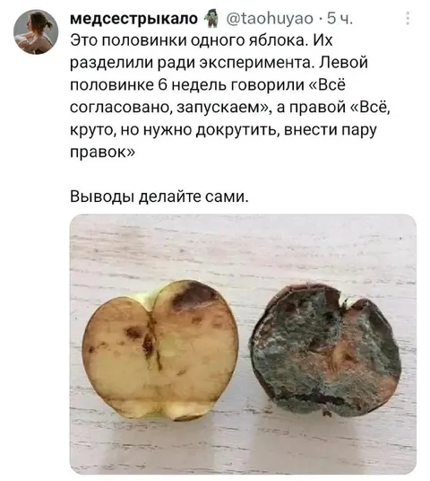 Две половинки одного яблока