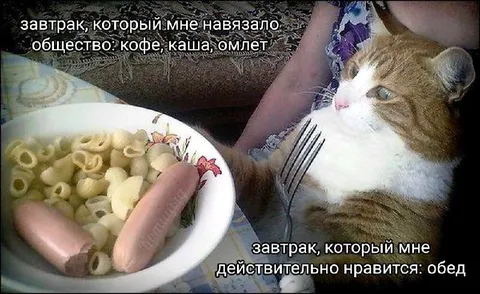 Завтрак, который мне нравится