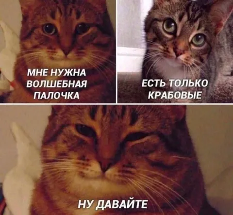 Кот согласен на крабовые палочки