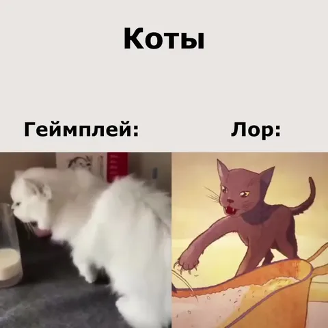 Коты: геймплей и лор