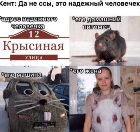 Надежный человечек с крысиной улицы