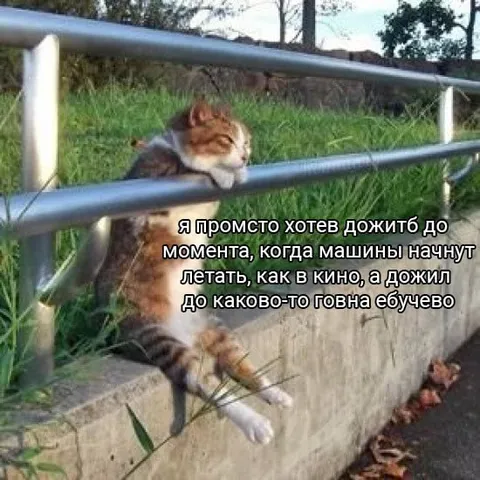 Дожил до какого-то говна