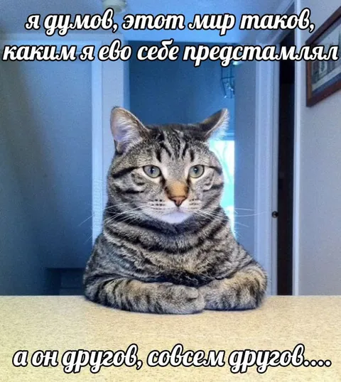 Мир оказался совсем другим