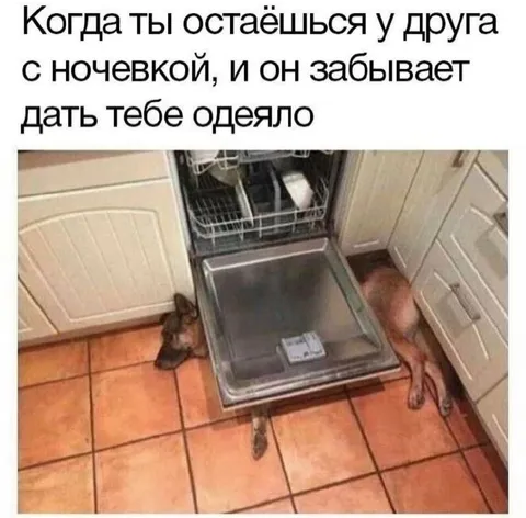 Когда друг забыл дать одеяло