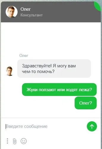 Жуки ходят лёжа