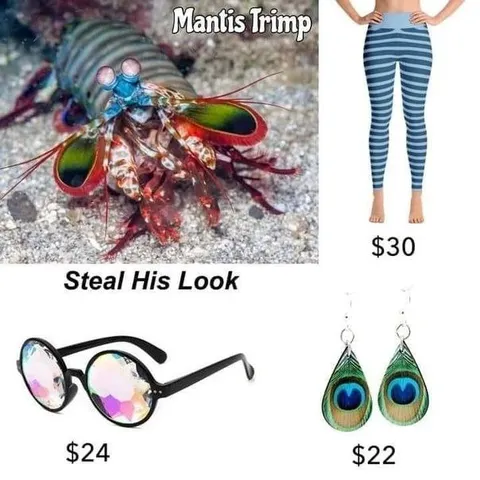 Mantis Trimp Steal His Look