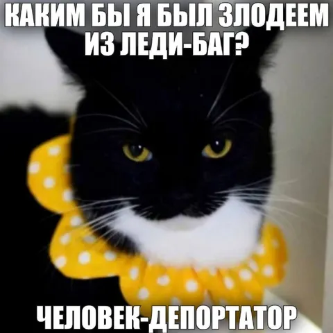 Человек-Депортатор из Леди-Баг