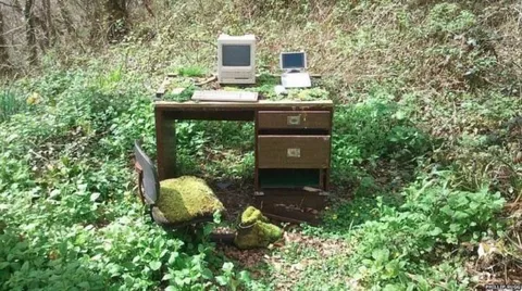 Офис посреди леса