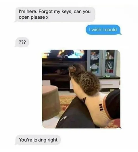 Cat Blocks the Door