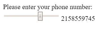 Please Enter Your Phone Number
