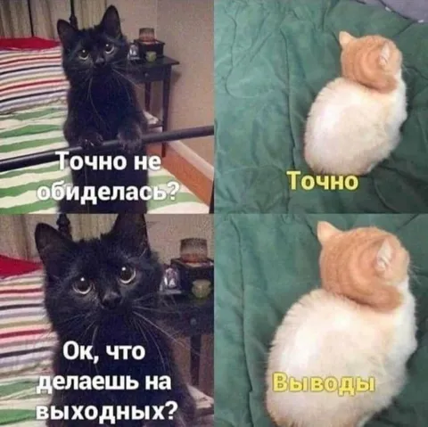 Точно не обиделась?