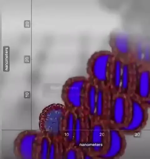 Твой хуй на шкале размеров