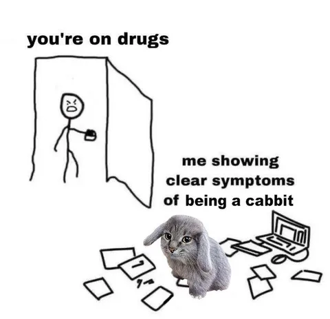 Clear Symptoms of Being a Cabbit