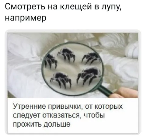 Клещей в лупу
