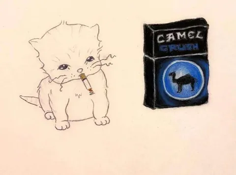 Smoking Cat with Camel Cigarettes