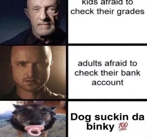 Adults Afraid of Bank Accounts