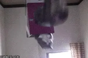 Перевёрнутый странный кадр
