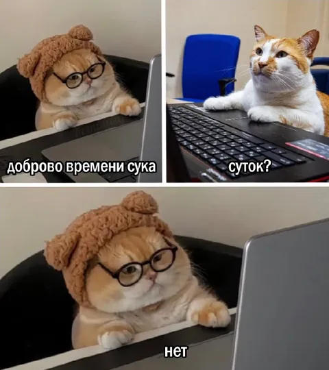 Доброго времени суток, нет