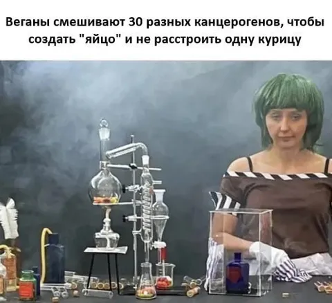 Веганы создают куриное яйцо