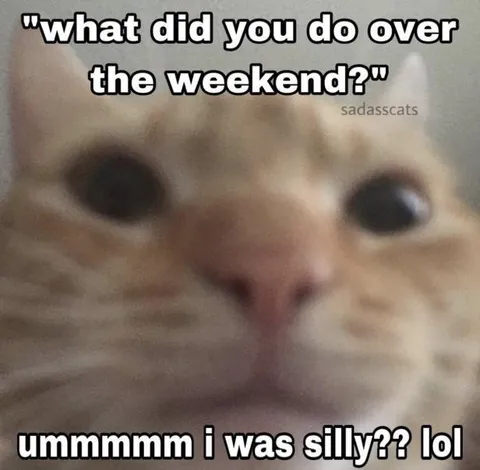 Silly Weekend Cat