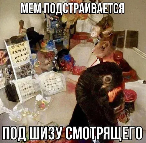 Мем подстраивается под шизу