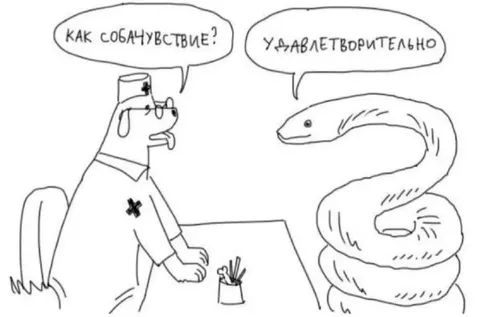 Как собачувствие?