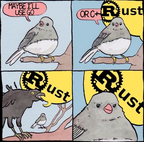 Maybe I'll Use Go Rust