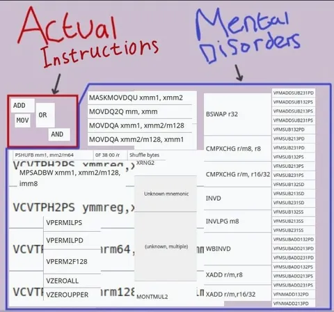 Actual Instructions Mental Disorders
