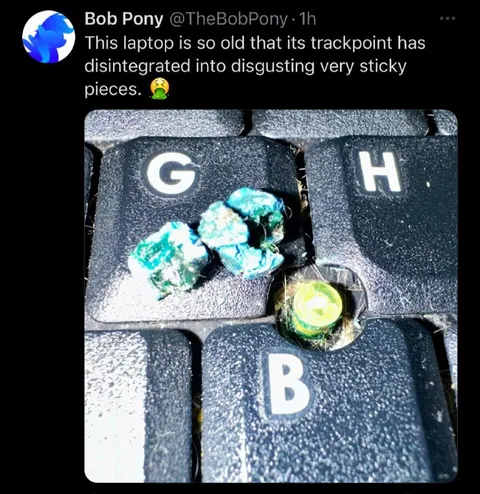 Disintegrated Laptop Trackpoint
