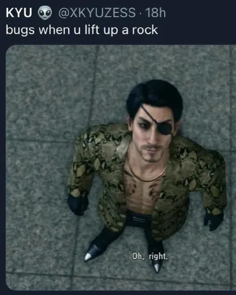 Bugs When You Lift a Rock