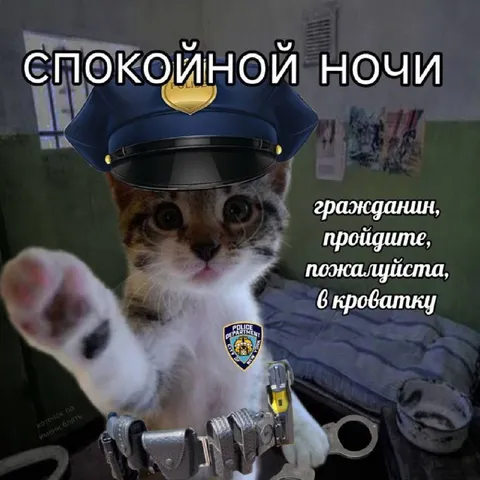 Кот-полицейский желает спокойной ночи