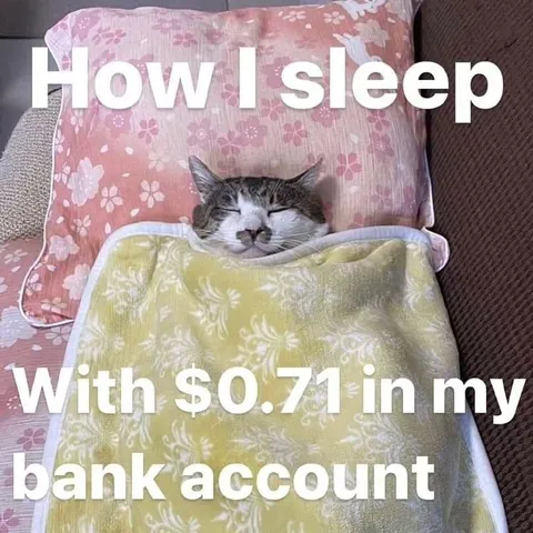 Sleeping With 71 Cents