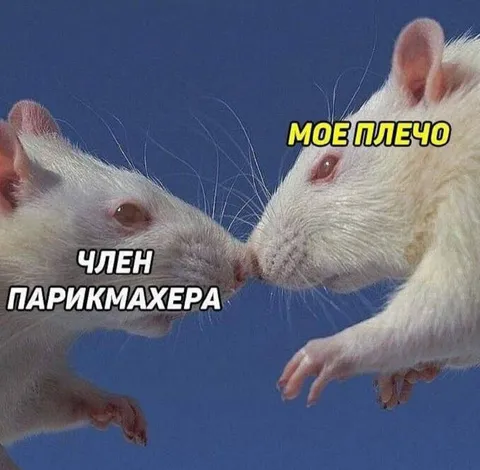 Плечо члена парикмахера
