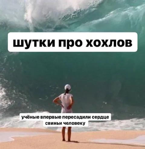 Шутки про хохлов и свиное сердце